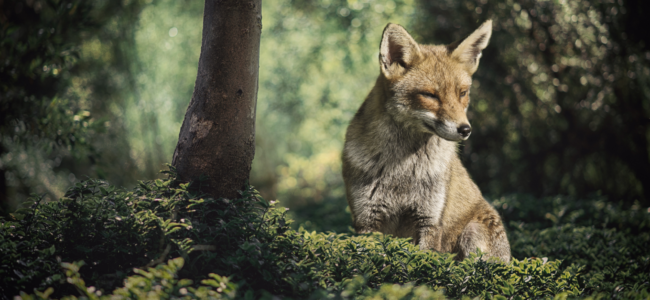 Investment-Tipp: Steuerfreibetrag nutzen bei der Geldanlage