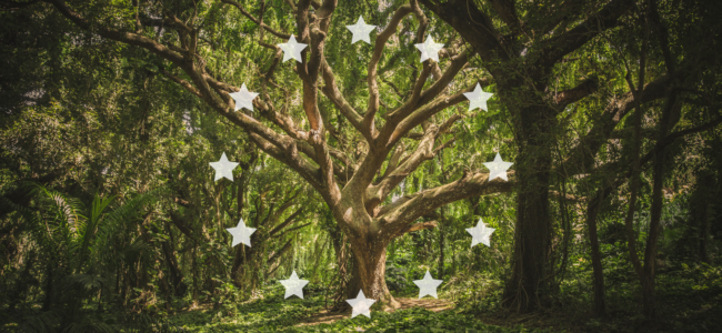 Erschließen Sie neue Potenziale durch nachhaltiges Investieren auf Crowdfunding-Plattformen